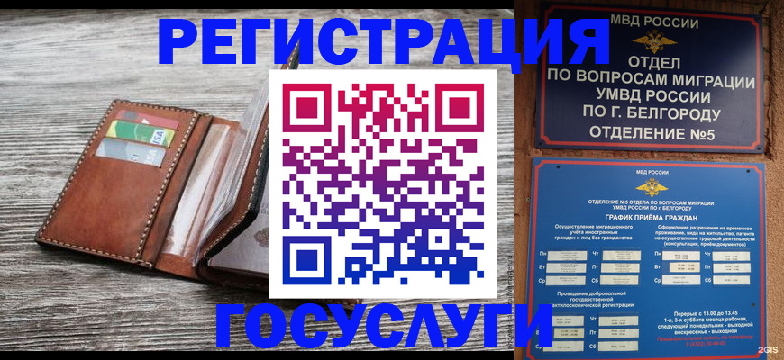 временная регистрация гарантия в Змеиногорске